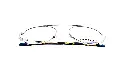 354.webp