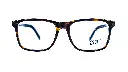 323.webp