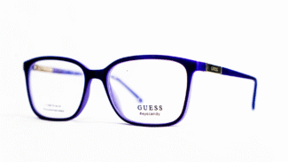 Monture Femme Guess Cerclée