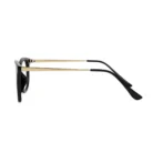 Détail des branches dorées raffinées-lunette polar eagle.webp