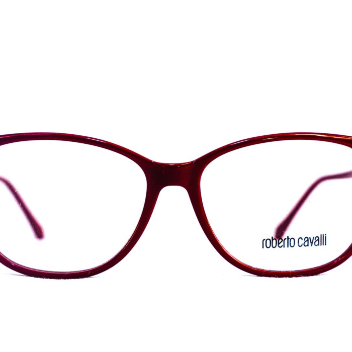 Lunette Roberto Cavalli cerclée rouge – Vue de face Lunette Roberto Cavalli cerclée rouge – Vue de face