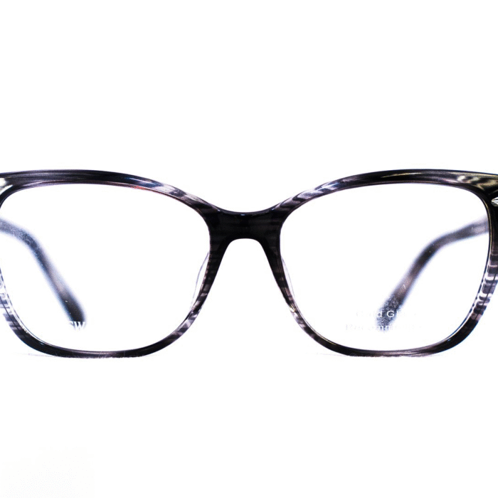 Swarovski monture cerclée noire et grise – vue de face Swarovski monture cerclée noire et grise – vue de face