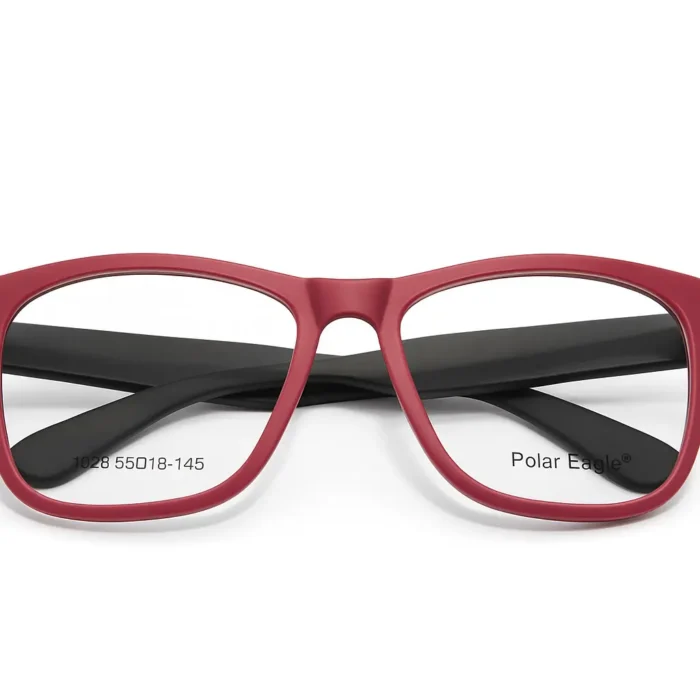 Lunette Polar Eagle – mermoz vdn.webp Lunette Polar Eagle – mermoz vdn.webp