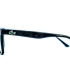 Détail des branches – logo Lacoste discret