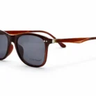 Lunette Polar Eagle homme marron – vue de profil – showroom Luxe Optique.webp